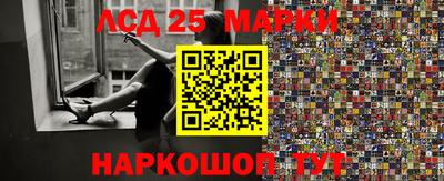мдпв Гусев