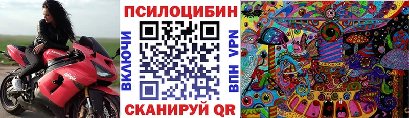 как найти наркотики  гидра рабочий сайт  Псилоцибиновые грибы прущие грибы  Усть-Лабинск 